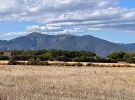 'Els Pins' - Casa amb piscina a tocar de Banyoles