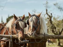 Viesnīca Agriturismo Gli Archi pilsētā Fauglia