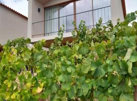 Quinta Manhas Douro, hotel en Provesende