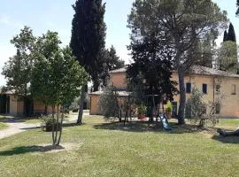 Camere con vista in Valdichiana