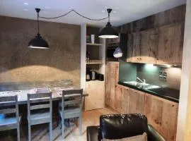 Charmant T2 Cabine avec Spa et Piscine, Proche Centre et Pistes de Ski - Les Gets - FR-1-598-85