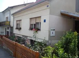 Apartments with WiFi Daruvar, Bjelovarska - 17093