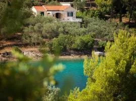 Seaside holiday house Cove Gabrica, Korcula - 17195