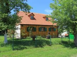 Apartments for families with children Perusic (Velebit) - 17540
