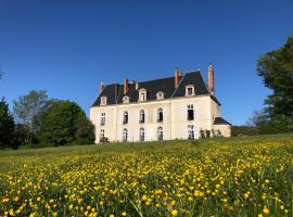 Blondeaux에 위치한 주차 가능한 호텔 Château de Vaux
