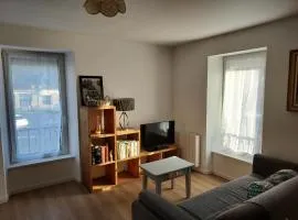 Appartement Duplex très lumineux en centre ville