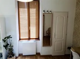 Appartement cosy entier, parking gratuit dans la rue
