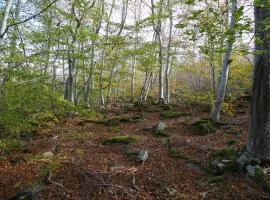 Holiday home Mirador Sierra del Madero