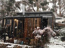 ReThynk Unique Tiny home East Jindabyne, holiday home in Jindabyne