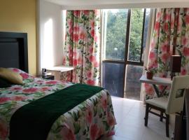 Charming sunny bedroom overlooking beautiful Amsterdam Avenue in best Condesa area, golfo vie&scaron;butis Meksike