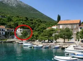 Apartments by the sea Cove Crkvice, Peljesac - 17667