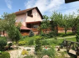 Family-friendly apartments with swimming pool Ostarski Stanovi, Plitvice - 17806