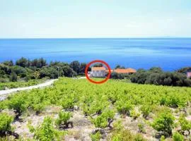 Family friendly seaside apartments Dingac - Borak, Peljesac - 18060