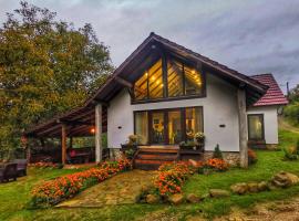 Casa Her, cottage in Galaţi