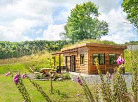 Llwyn-Teg Log Cabin, cabaña o casa de campo en Whitland