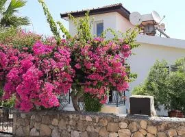 Villa bougainvillea with privite pool