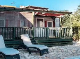 Family friendly apartments with a swimming pool Pakostane, Biograd - 18980
