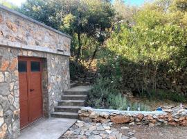 Secluded fisherman's cottage Zman, Dugi otok - 19000, holiday home in Žman