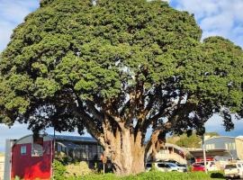 Landmark Manor, motel in New Plymouth