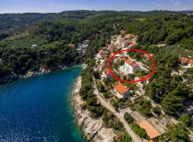 Apartments by the sea Puntinak, Brac - 19491, hotel in Selca