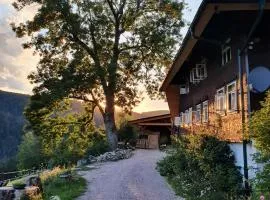 Feißesberghof - Wohnung in der Tenne