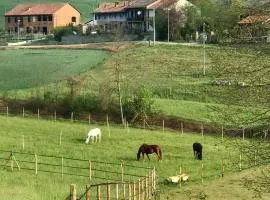 Appartamento in cascina -la cascinetta di Ali-