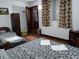 Cabana Steaua Nordului 2, turistaház Börvényben