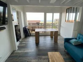 Splendide appartement vue océan le Penon