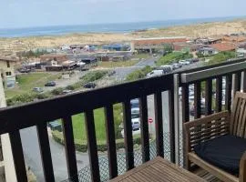 Splendide appartement vue océan le Penon