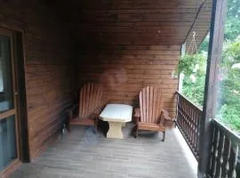 Osada leśna