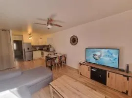 Appartement T2 45 M2 Meublé 3 étoiles tout confort hyper centre de Dax