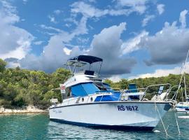 Traditional 2 bedroom houseboat Nova Natalina, πλωτό κατάλυμα σε Brovinje