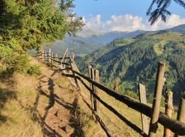 ALEGRIA - MOIECIU DE SUS, homestay in Moieciu de Sus