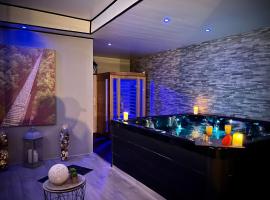 Charmant logement avec Spa, Sauna et terrasse, cheap hotel in Bergues