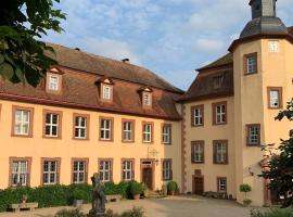 Private apartment in historic castle from 1608 with tenniscourt, hotel in Zeitlofs