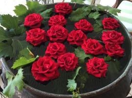 Eveline 2 - Piscina Privata o Jacuzzi, hotell i Sanremo