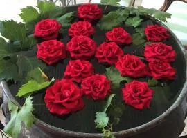 Eveline 2 - Piscina Privata o Jacuzzi