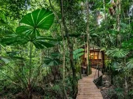 Daintree Wilderness Lodge