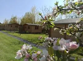 Verton, Gîte Les chalets du Fliers Meublés de tourisme classés 2 étoiles plage de BERCK SUR MER