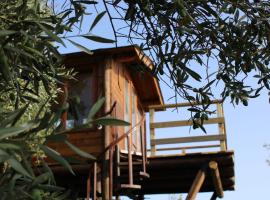 The Treehouse - Casa sull'albero al Golden Camp, хотел в Фалерна