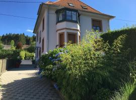 Les hortensias en Alsace - meublé de tourisme 3 étoiles, hotel con estacionamiento en Barembach