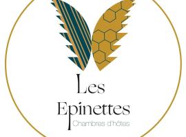 Les Epinettes chambres d'hôtes, hotel with pools in Crèvecoeur-le-Grand