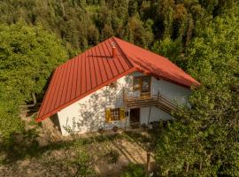 Cottage surrounded by forests - The Sunny Hill, hotel with parking in Griže