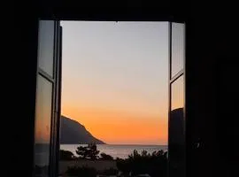 Paradise