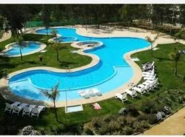 Espectacular departamento amoblado en Algarrobo Norte