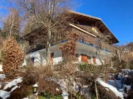 Chalet avec sauna et vue sur le lac