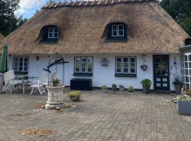 Skovlyset’s B&B, beach rental in Juelsminde