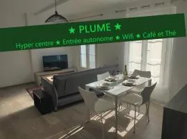 Appartement T3 PLUME Hyper centre d'ERNÉE