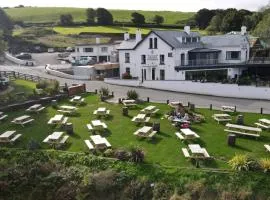 The Teifi Waterside Hotel