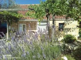Apartmans Lavanda Island Hvar